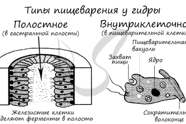 Кракен сайт